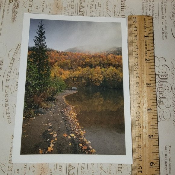 Packet of 8 Notecards - Adirondack Light 2 - Picture 2 of 12